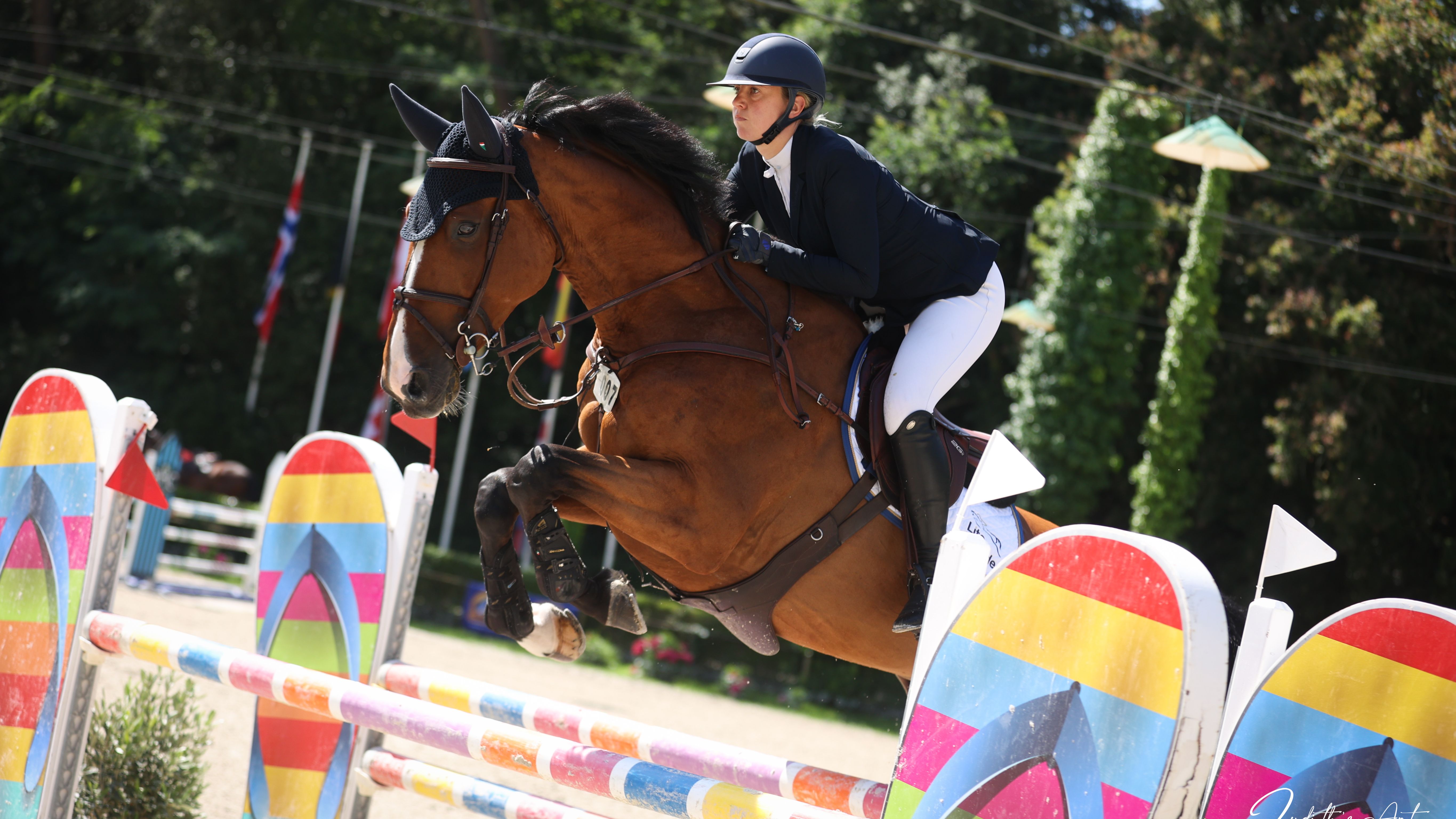 Royan CSI 3* and 2*