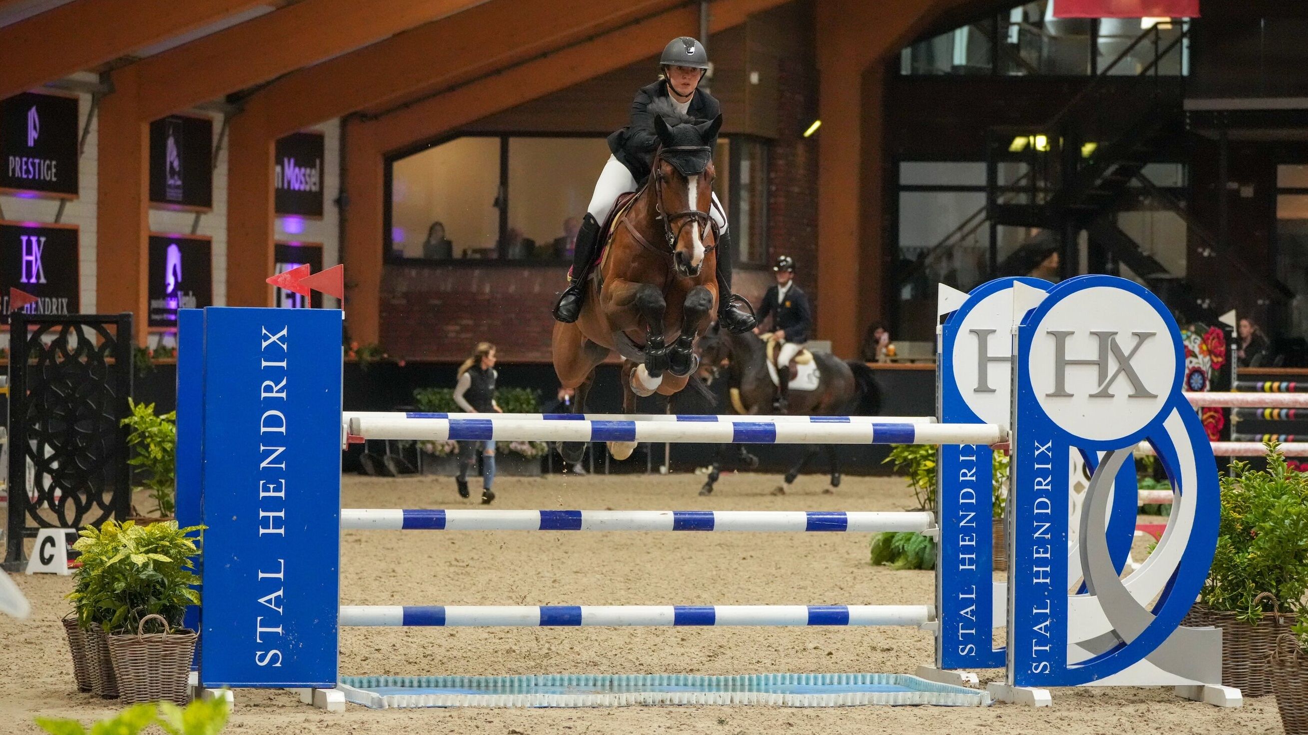 Peelbergen CSI 2*/yh