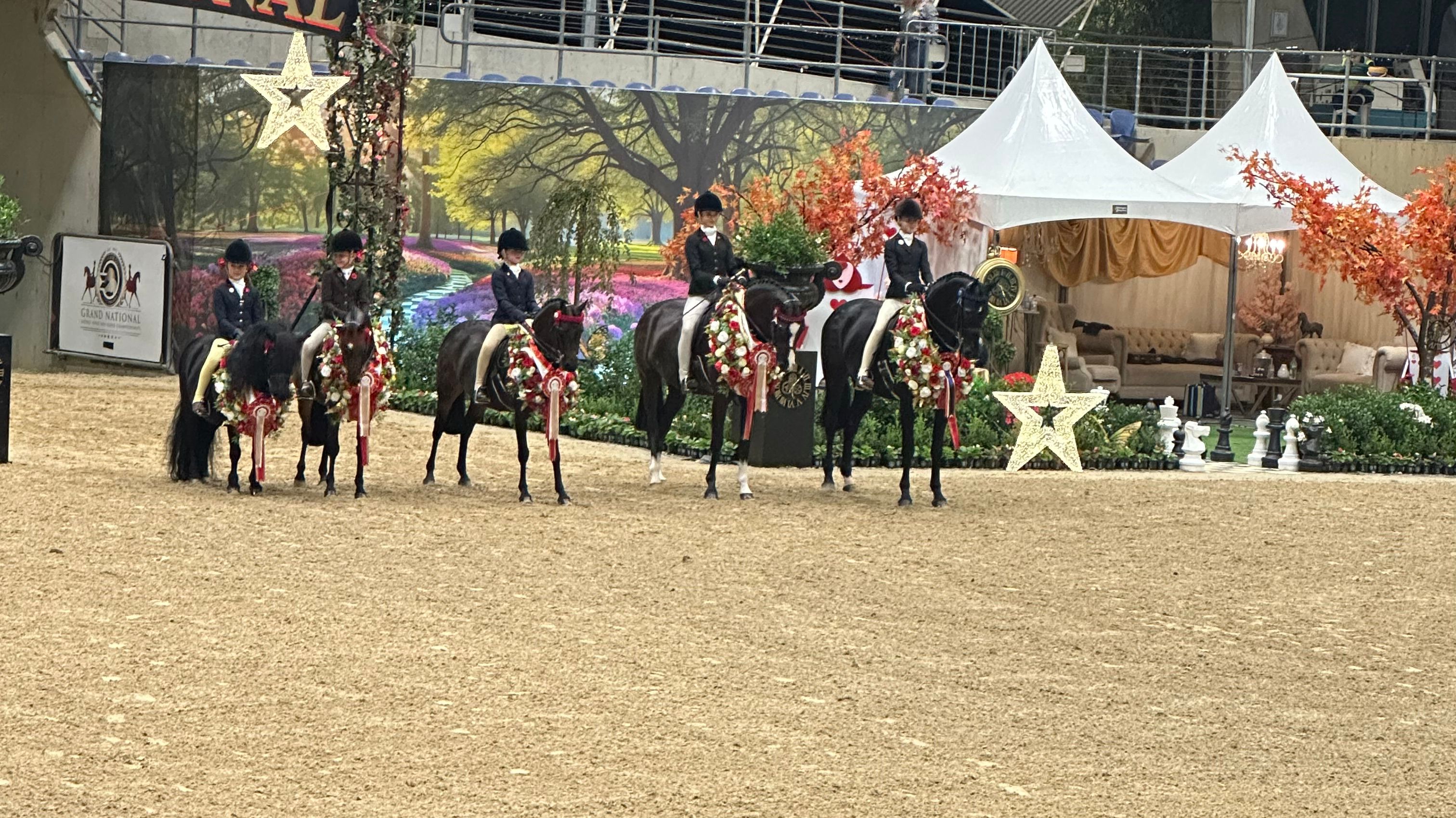 Diary of a show groom - I'm back!