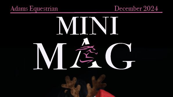 December Mini Mag!