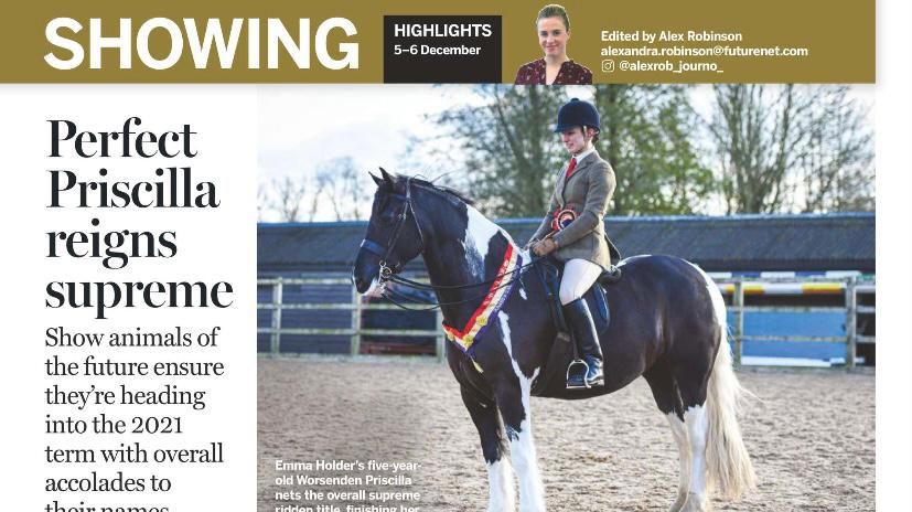 WORSENDEN PRISCILLA GETS WRITE UP AND PICTURE IN THE HORSE AND HOUND!!