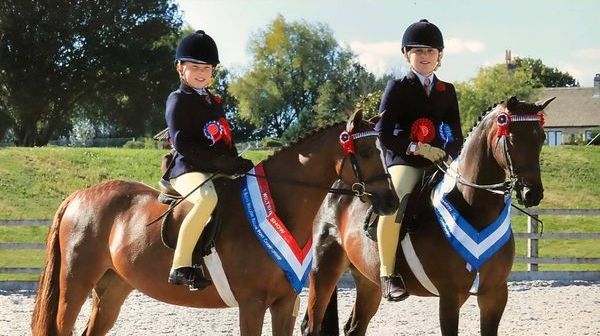 Wiltshire Show Winners