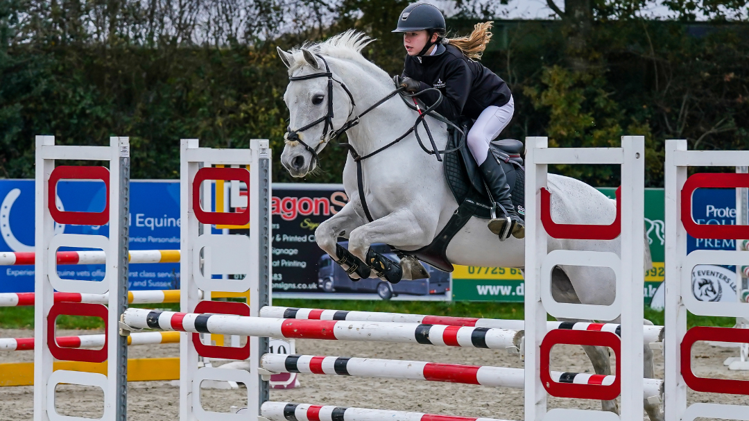 LEXI 14.2HH CONNEMARA PONY