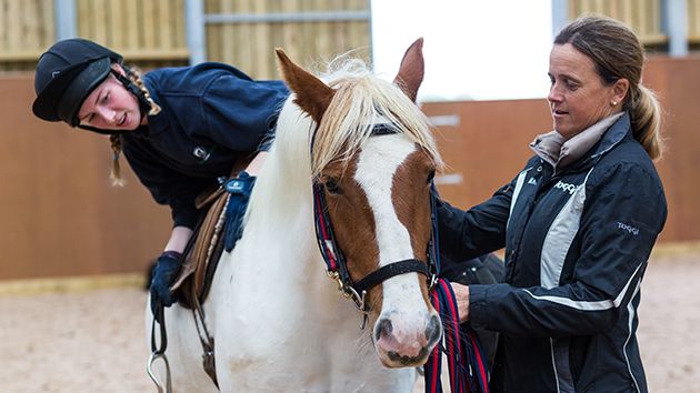 Patron of World Horse Welfare