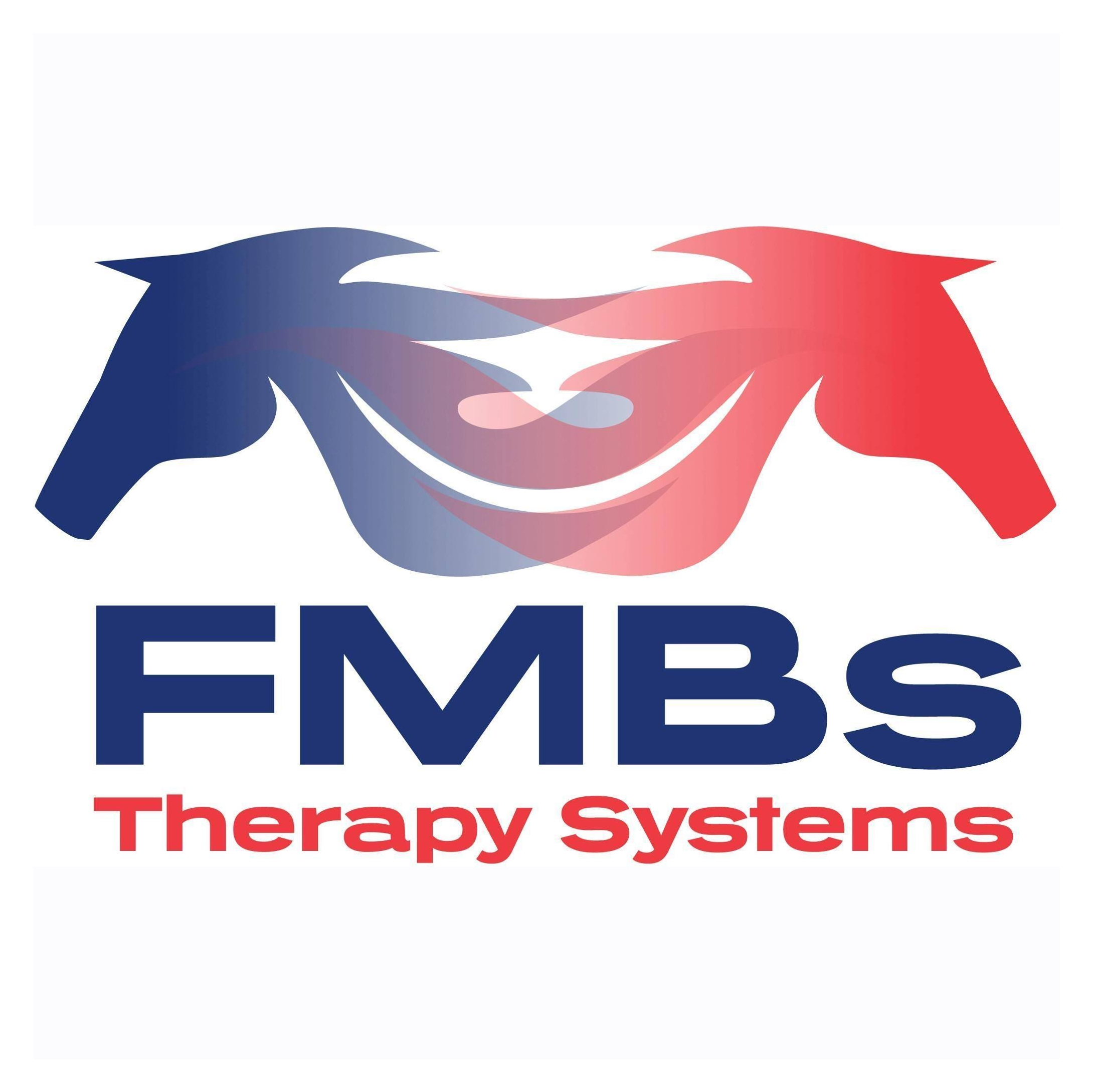 07. FMBS Therapy Systems