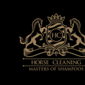 Horse Cleaning