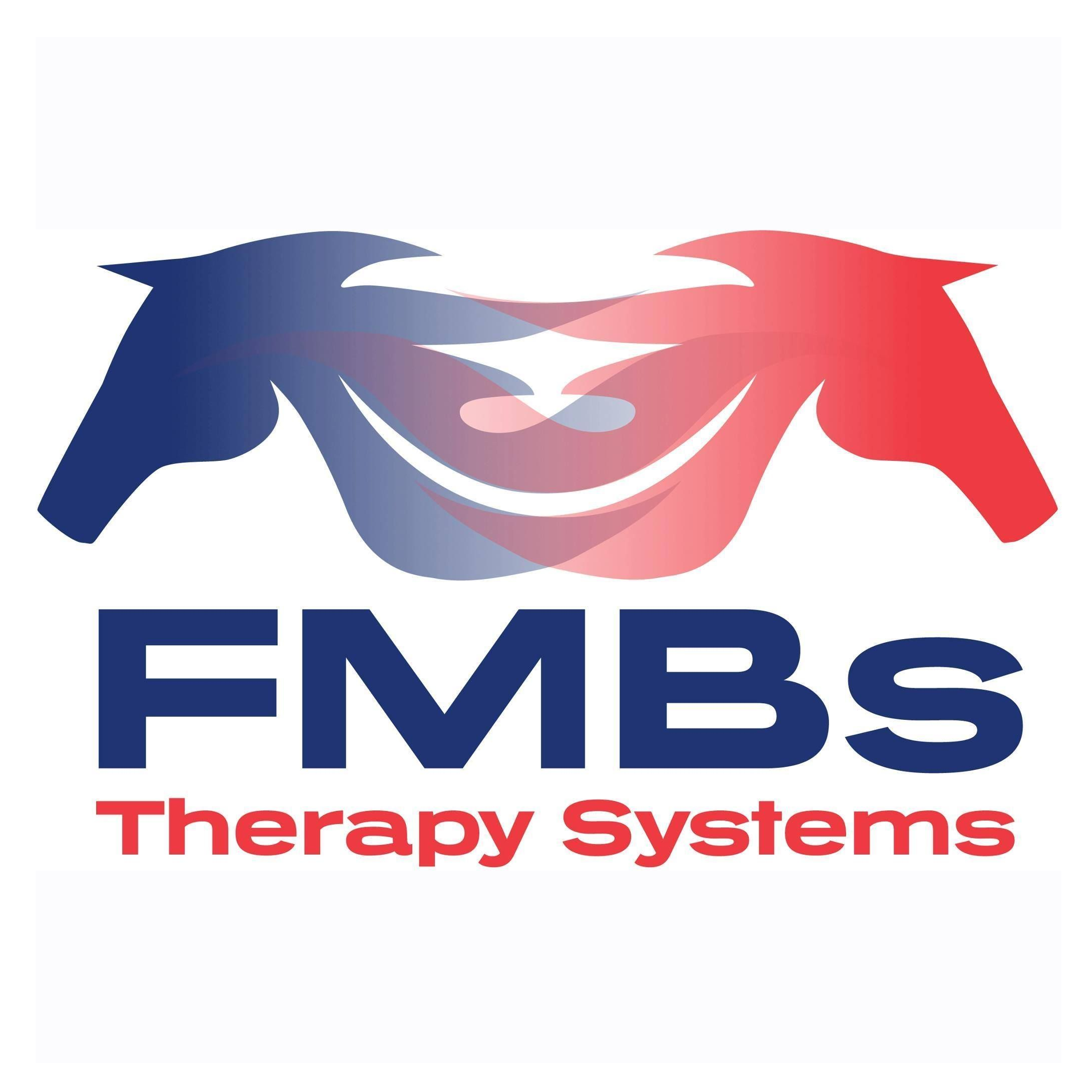 FMBs Therapy Systems