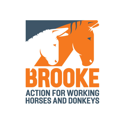 Ambassador for Brooke, Action For Working Horses and Donkeys