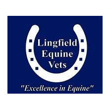 Lingfield Equine Vets