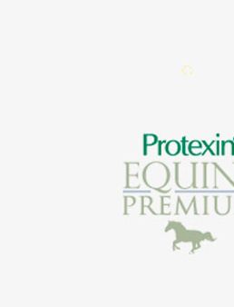 Protexin Equine Premium